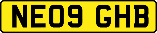 NE09GHB