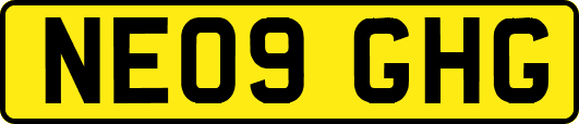 NE09GHG