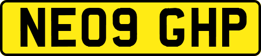 NE09GHP