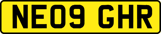 NE09GHR
