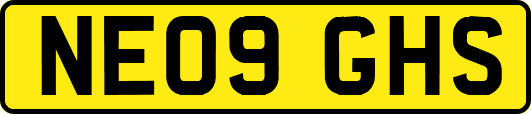 NE09GHS