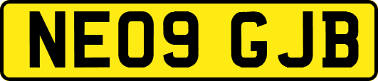 NE09GJB