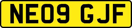 NE09GJF
