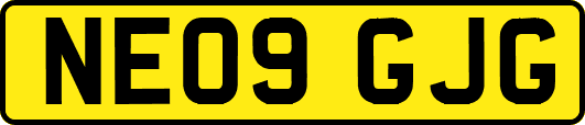 NE09GJG