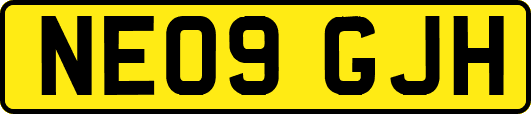 NE09GJH