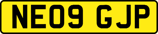 NE09GJP