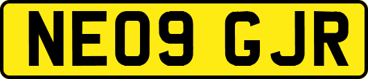 NE09GJR