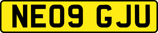 NE09GJU
