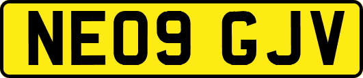 NE09GJV