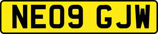 NE09GJW