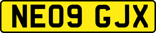 NE09GJX
