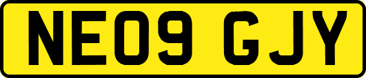 NE09GJY