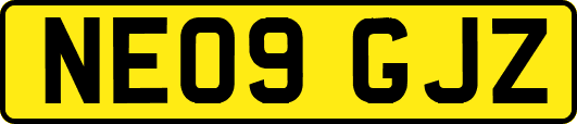 NE09GJZ