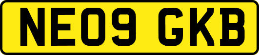 NE09GKB