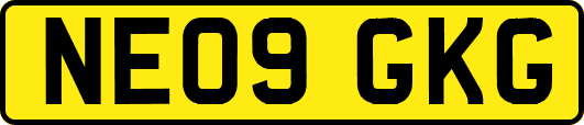 NE09GKG