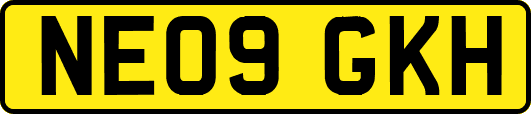 NE09GKH