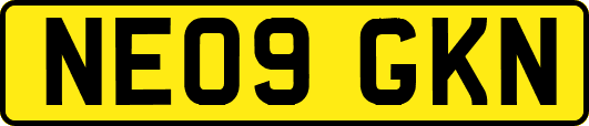 NE09GKN