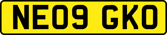 NE09GKO