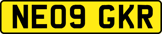 NE09GKR