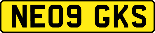 NE09GKS