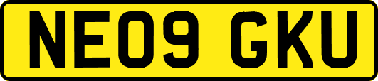 NE09GKU