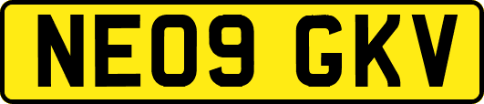 NE09GKV