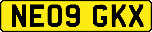 NE09GKX