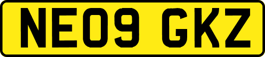 NE09GKZ