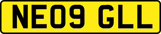 NE09GLL