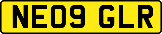 NE09GLR
