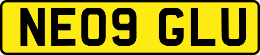 NE09GLU
