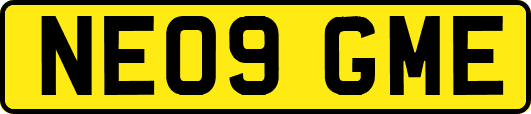 NE09GME