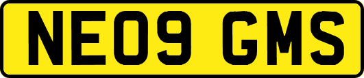 NE09GMS