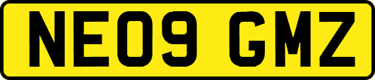 NE09GMZ