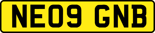 NE09GNB