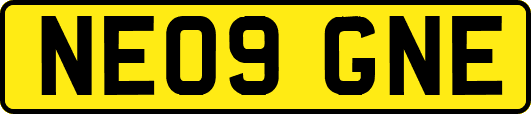 NE09GNE