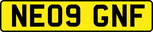 NE09GNF