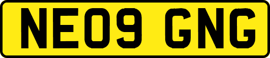NE09GNG