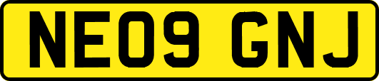 NE09GNJ