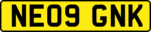NE09GNK