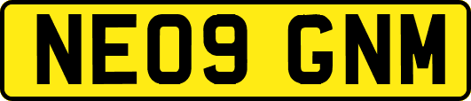 NE09GNM