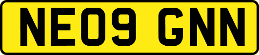 NE09GNN