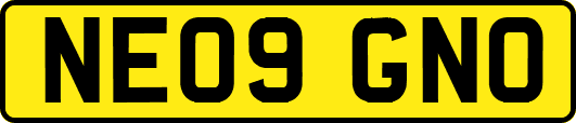 NE09GNO