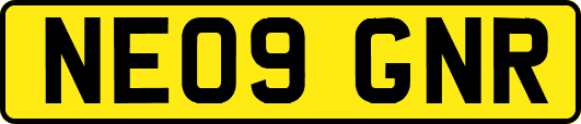 NE09GNR
