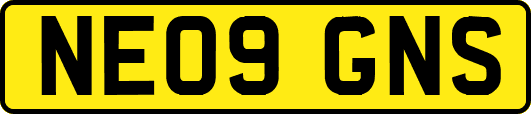 NE09GNS