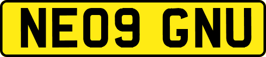 NE09GNU
