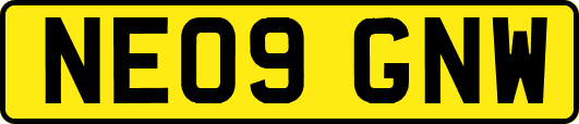 NE09GNW