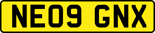 NE09GNX