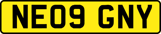 NE09GNY