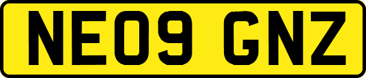 NE09GNZ